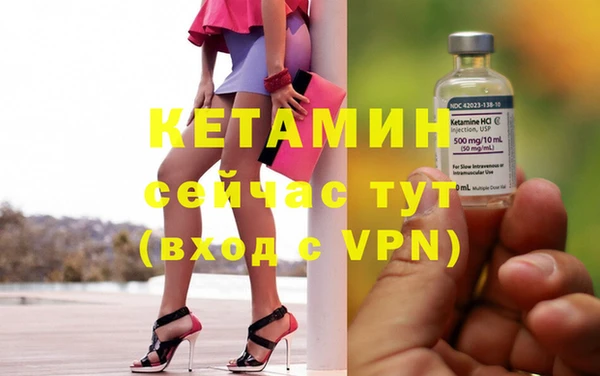 сатива Новокубанск