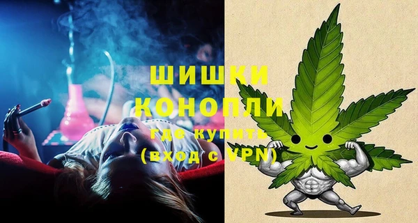 трава Новодвинск