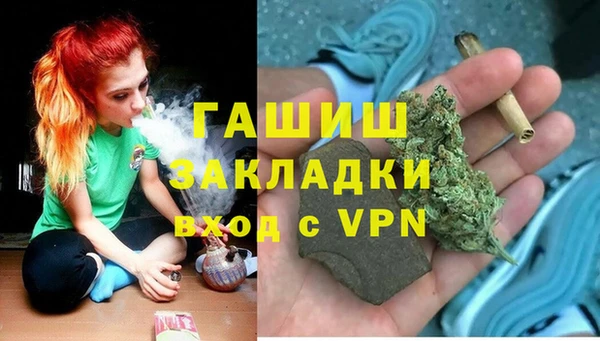 сатива Новокубанск