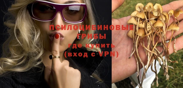 кокаин колумбия Новозыбков