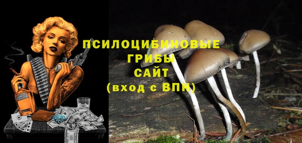 трава Новодвинск
