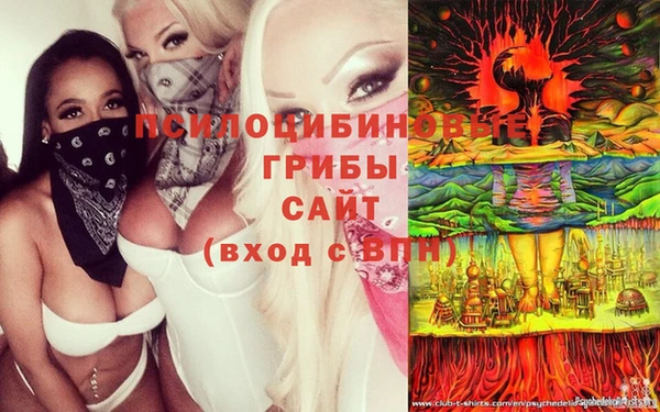 трава Новодвинск