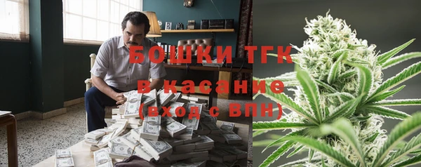 сатива Новокубанск