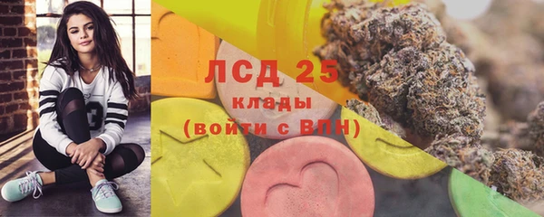 сатива Нягань