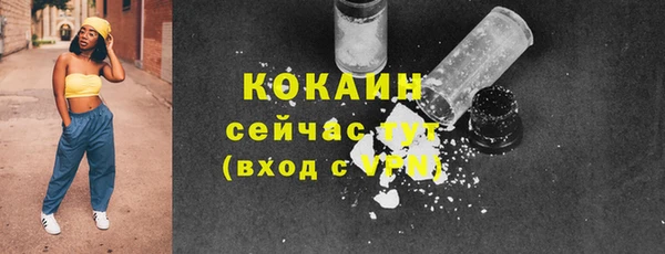 сатива Новокубанск