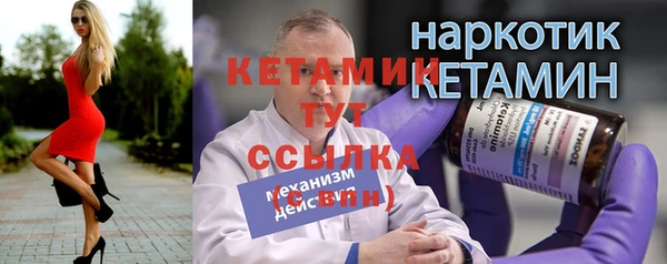 сатива Новокубанск