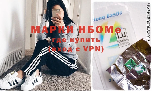 сатива Новокубанск