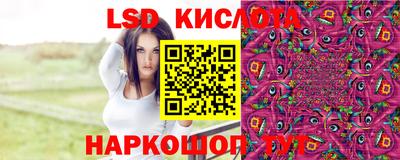 прущие грибы Беслан