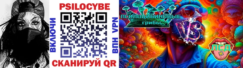купить наркоту  Отрадное  Псилоцибиновые грибы Psilocybine cubensis 
