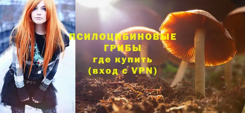 Псилоцибиновые грибы MAGIC MUSHROOMS  дарнет шоп  ссылка на мегу онион  Отрадное 