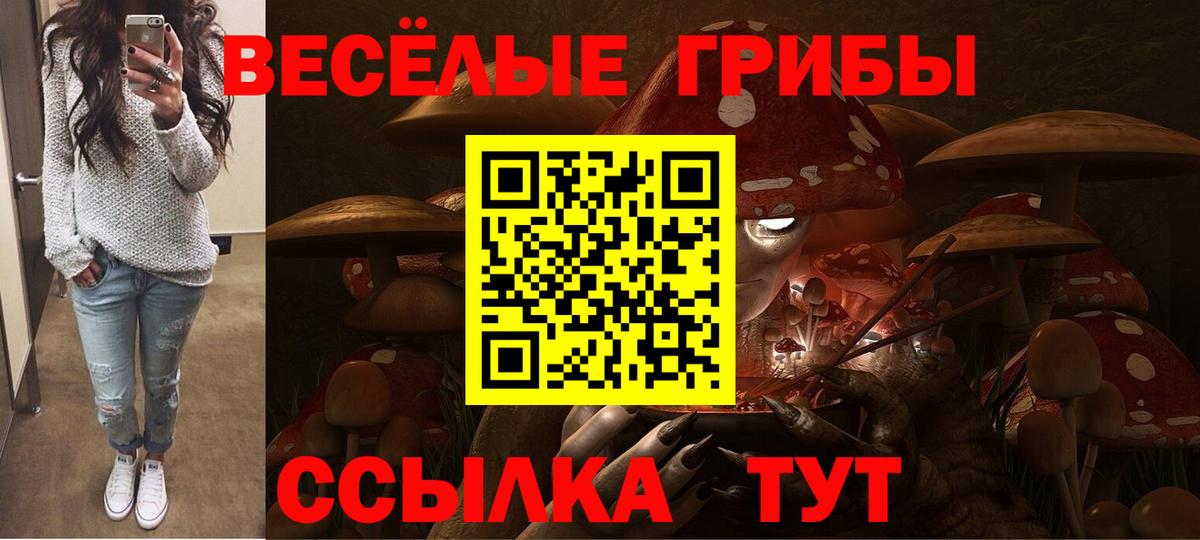 Галлюциногенные грибы мицелий  наркота  Отрадное 