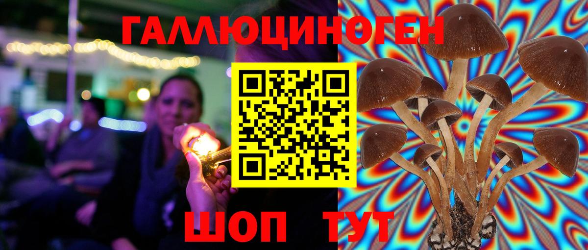Псилоцибиновые грибы GOLDEN TEACHER Отрадное