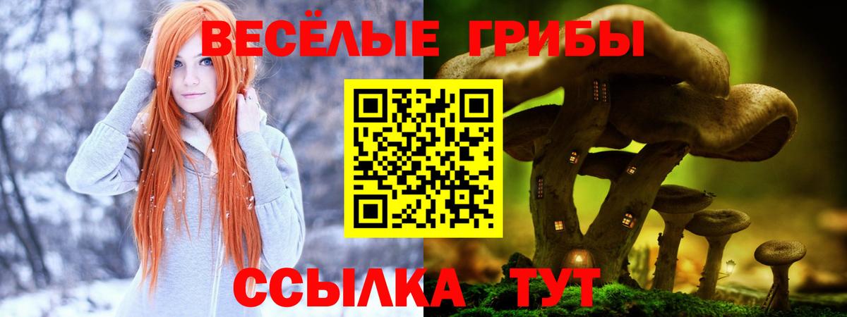 Отрадное  Псилоцибиновые грибы MAGIC MUSHROOMS  Вход с VPN  Галлюциногенные грибы прущие грибы 