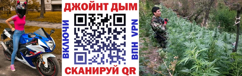 Конопля индика  Отрадное 
