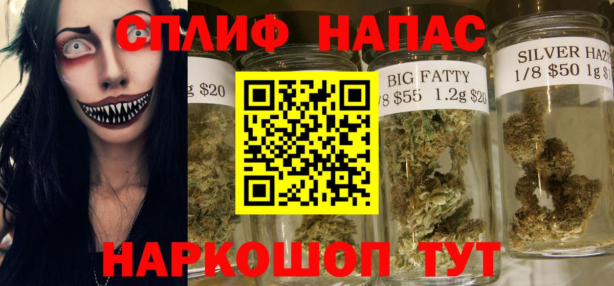 Каннабис конопля Отрадное